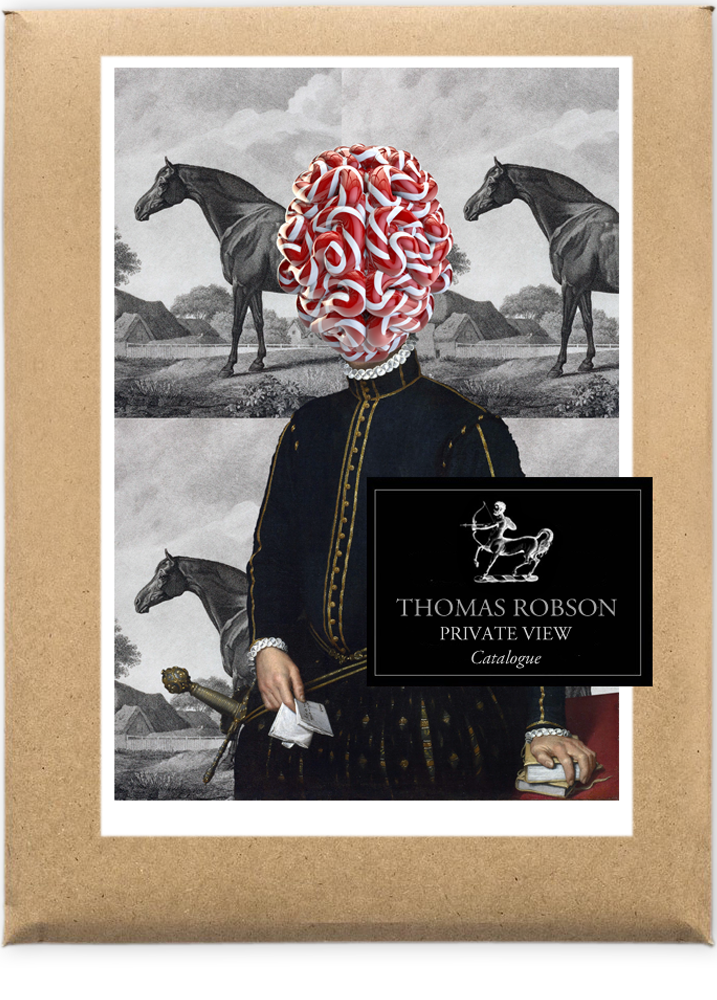 thomas robson art catalogue cover, image