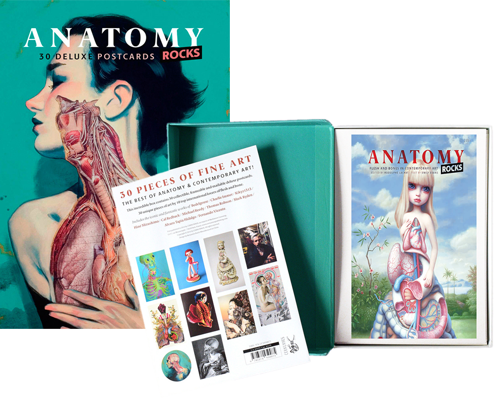 Anatomy Rocks new anatomy art examples by thomas robson post cards image