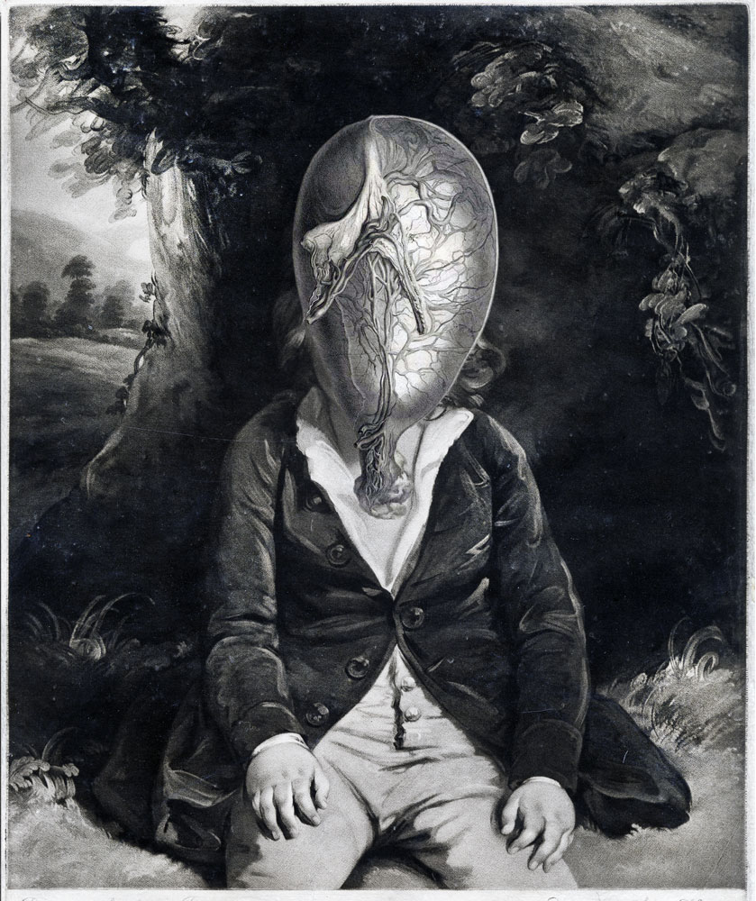 Still Lives Portraits The Morbid Portfolio image 1