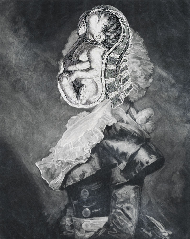  Still Lives Portraits The Morbid Portfolio image 6