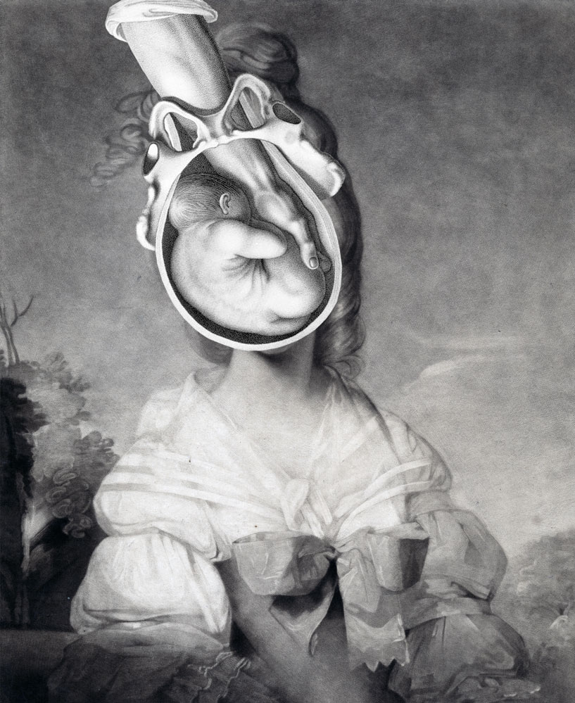 Still Lives Portraits The Morbid Portfolio image 8