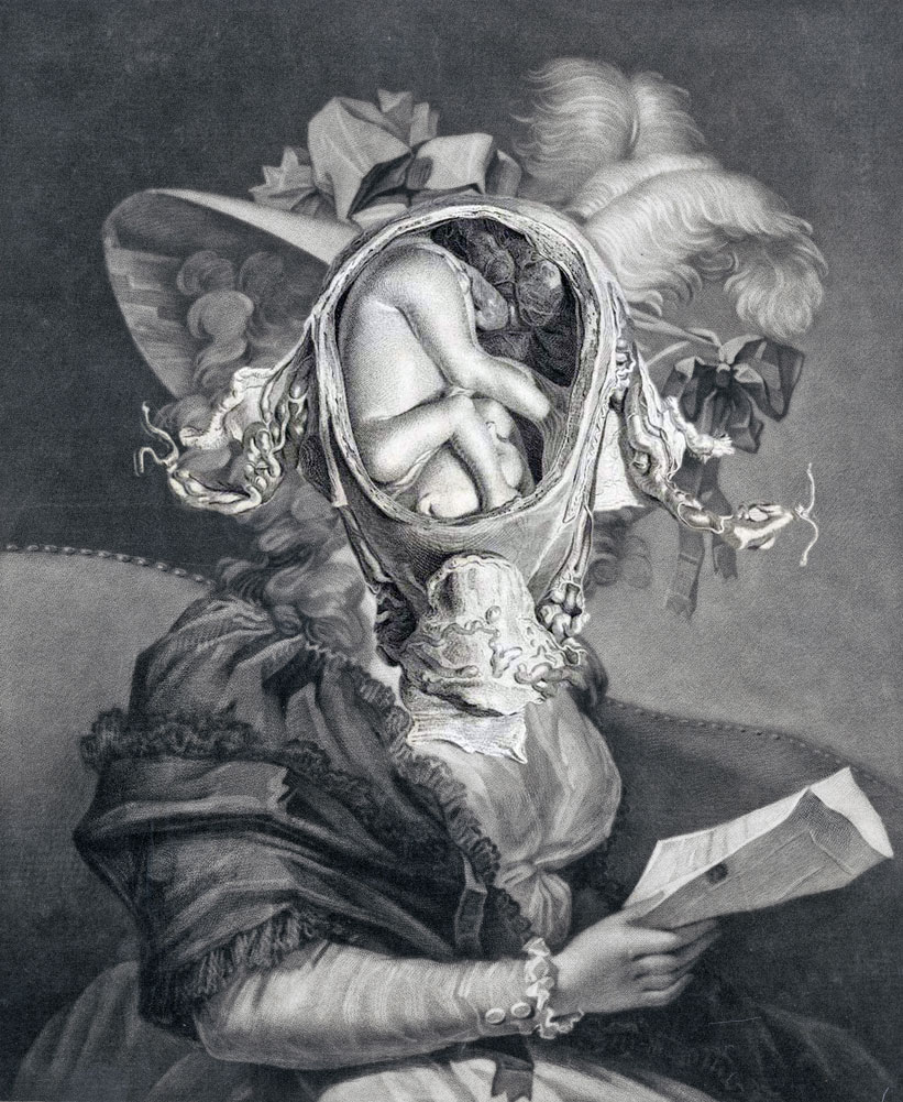 Still Lives Portraits The Morbid Portfolio image 11