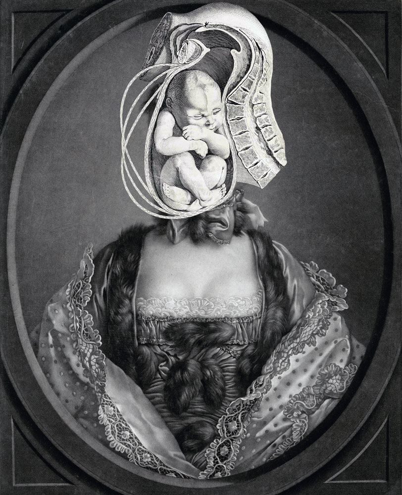 Still Lives Portraits The Morbid Portfolio image 13