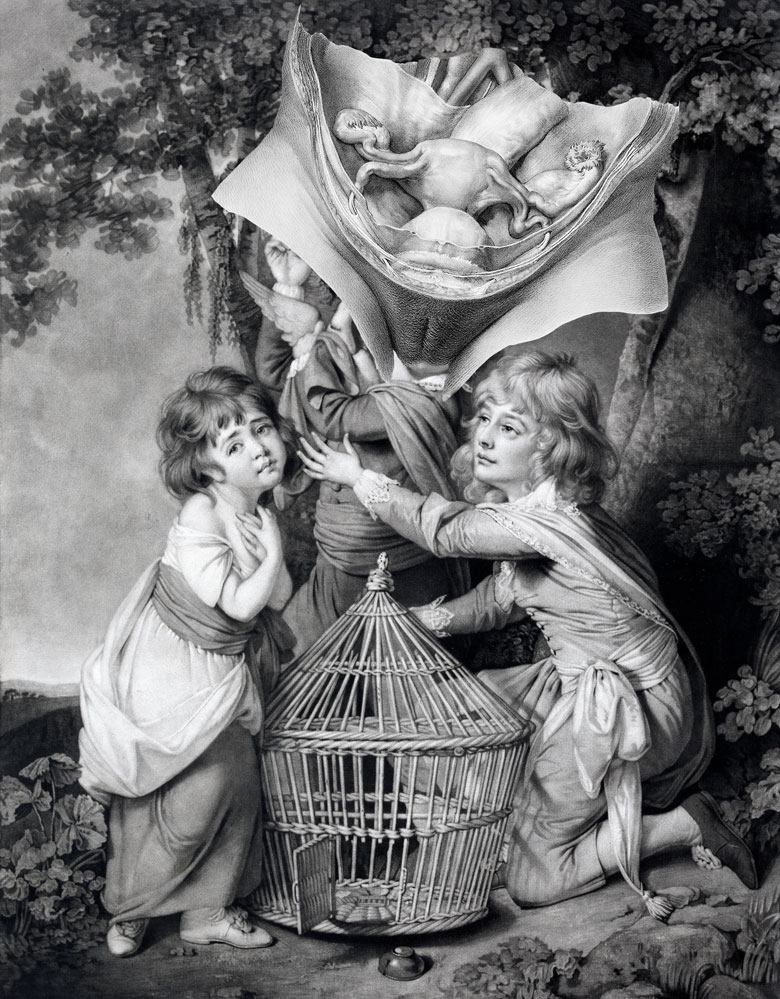 Still Lives Portraits The Morbid Portfolio image 22