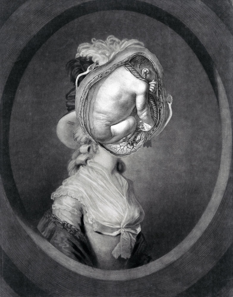 Still Lives Portraits The Morbid Portfolio image 25