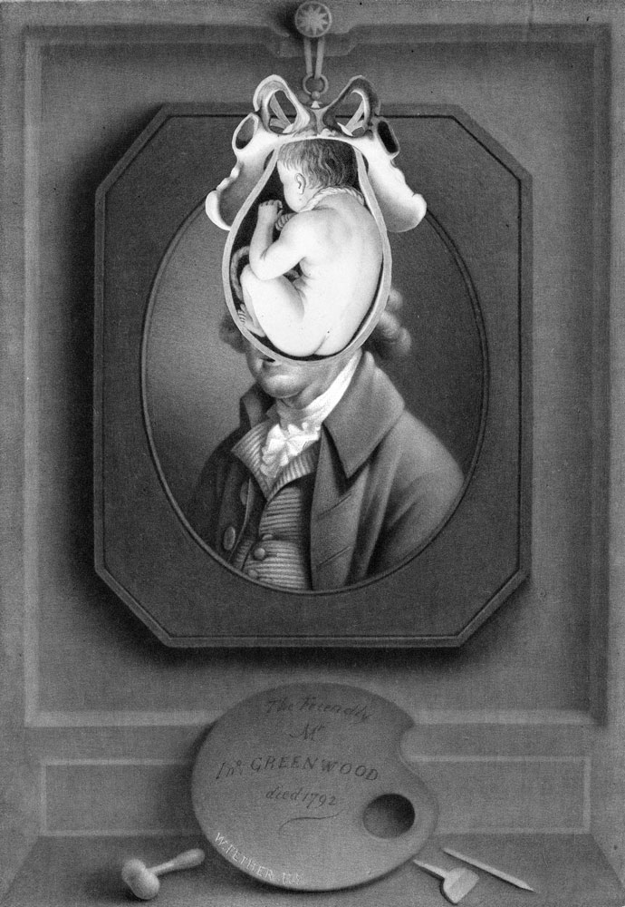 Still Lives Portraits The Morbid Portfolio image 28