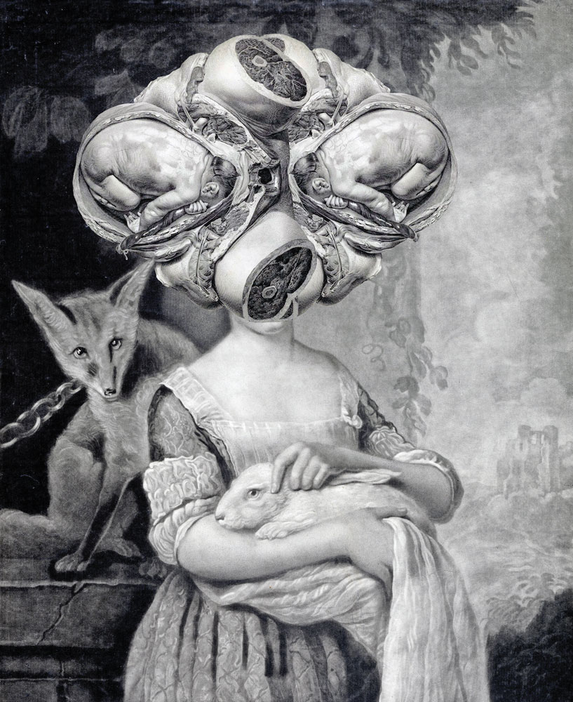 Still Lives Portraits The Morbid Portfolio image 30