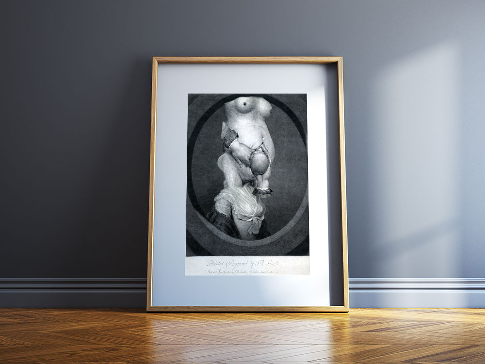 Still Life Art Prints